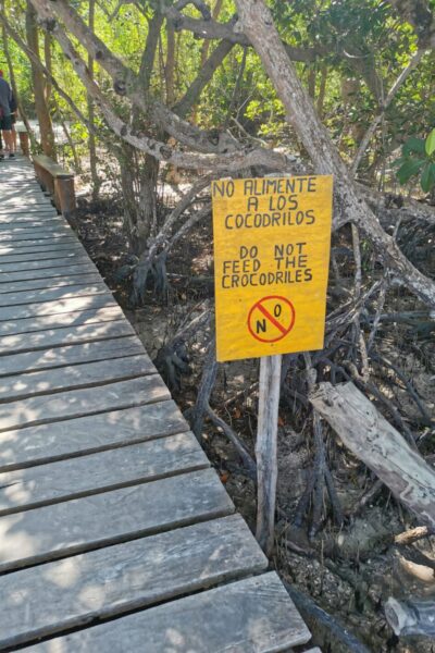 Bootstour_Holbox_