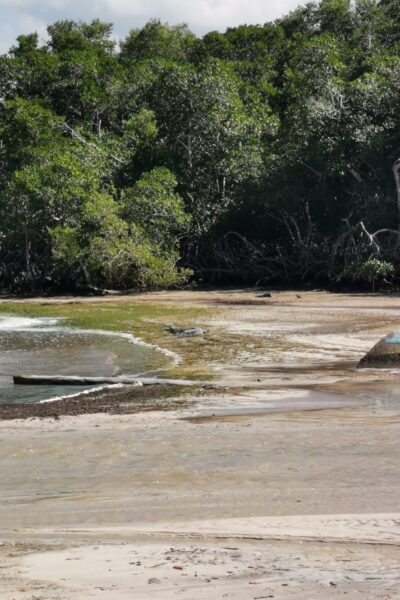 Bootstour_Holbox_1