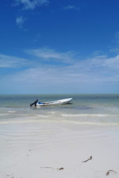 Bootstour_Holbox_5