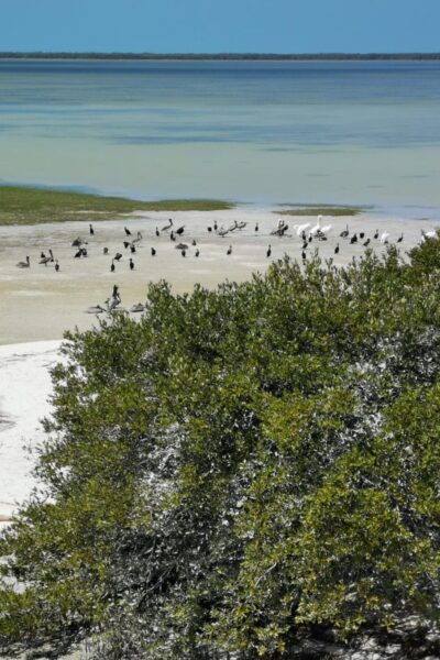 Bootstour_Holbox_7