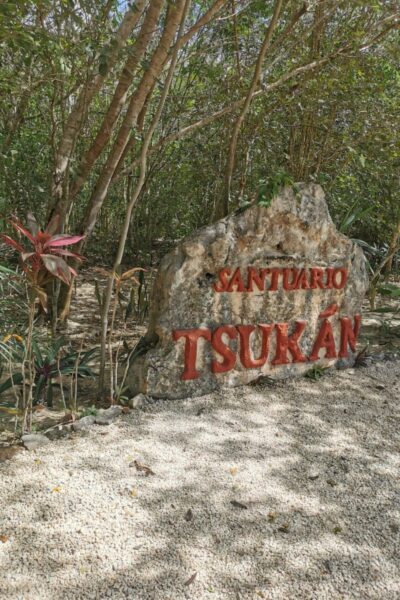 Cenote_Tsukan-7