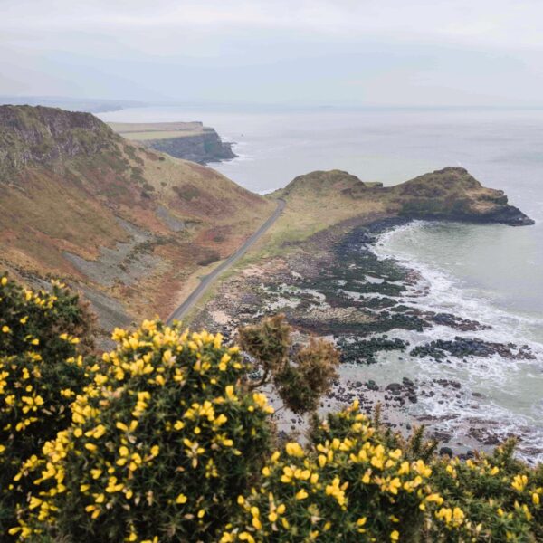 Giants-Causeway_5