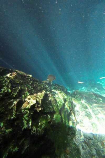 Gran_Cenote-1
