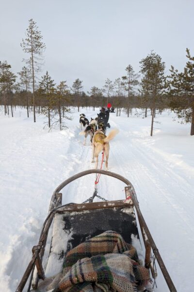 Huskysafari (2)