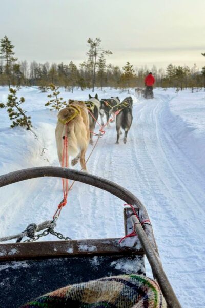 Huskysafari-3