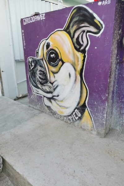 Isla-Holbox-1
