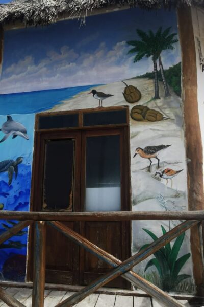 Isla-Holbox-10