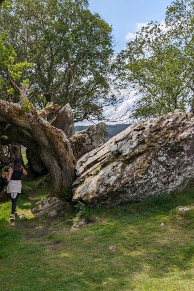 Killarney_NP-1