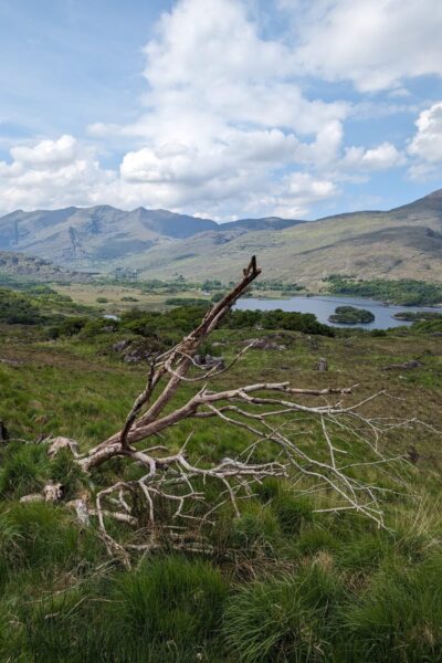 Killarney_NP