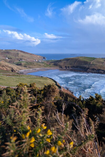 Küste-Aussichtspunkt_Muckross