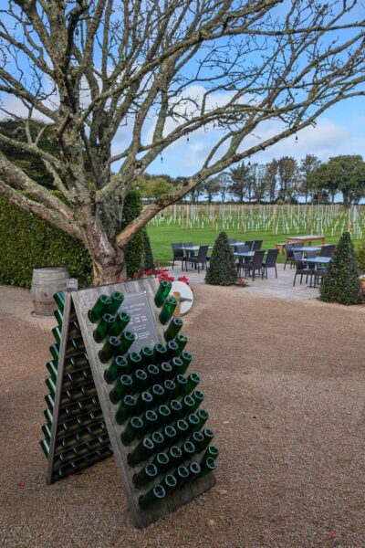 La Mare Wine Estate-2