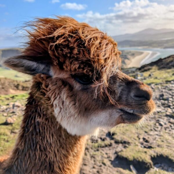 Malin Head