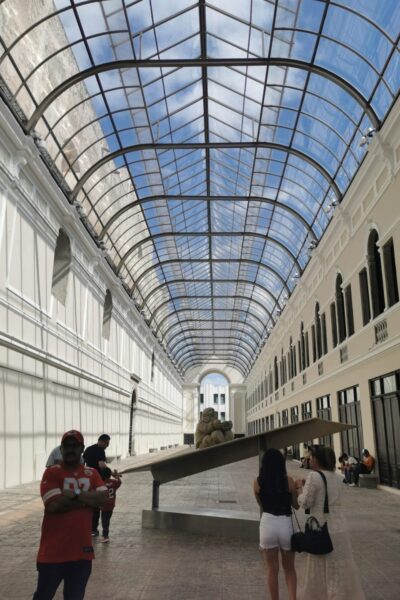 Merida-2 (2)