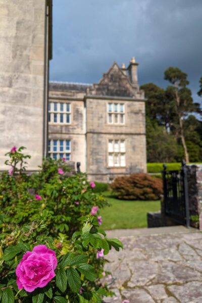 Muckross-House_4