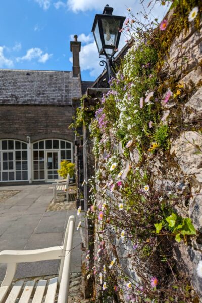 Muckross-House_5