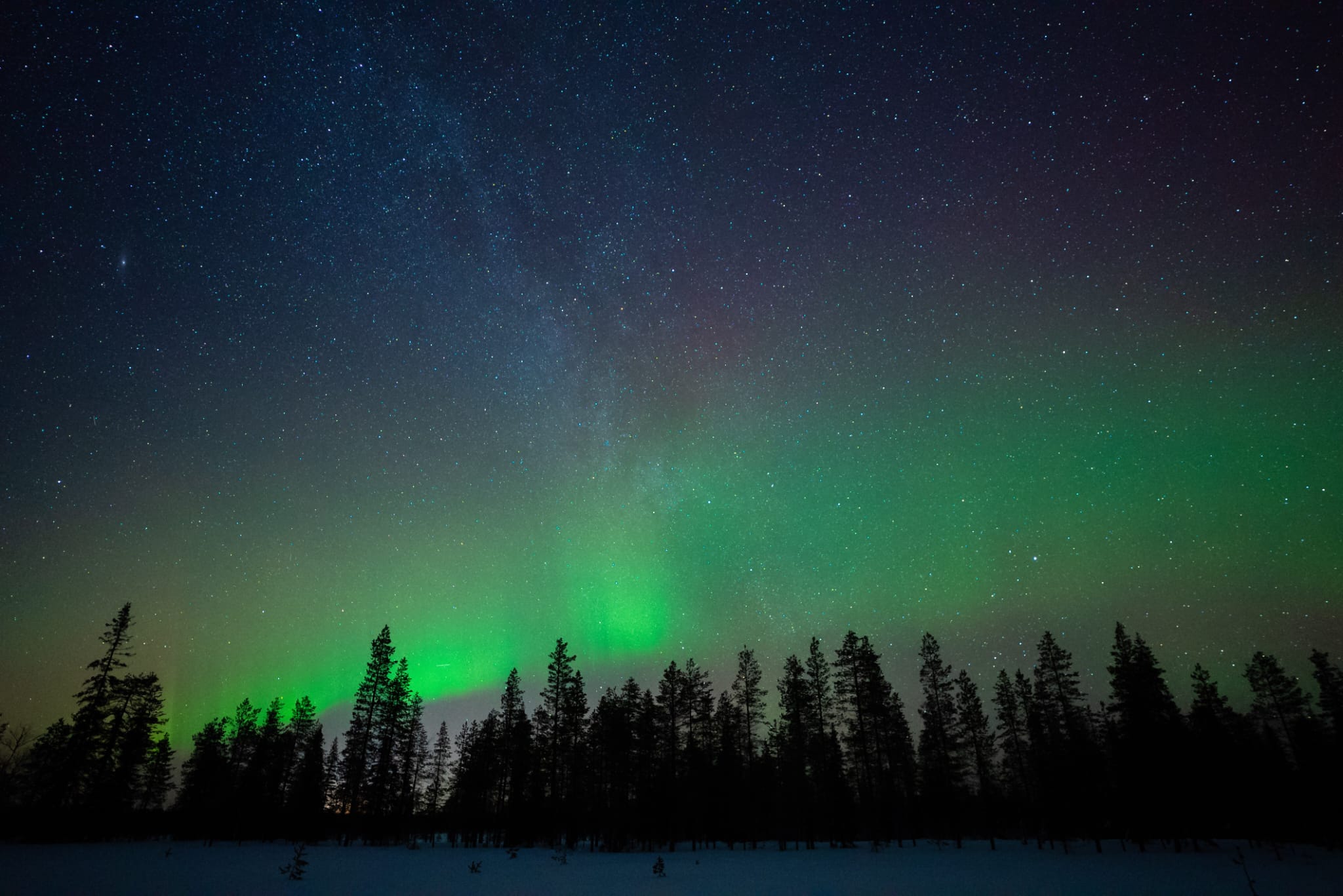 Grüne Nordlichter tanzen über dem Himmel Finnlands