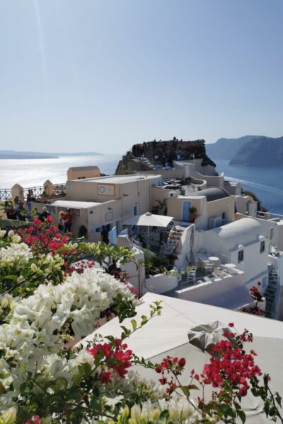 Oia-Blumenmeer-2