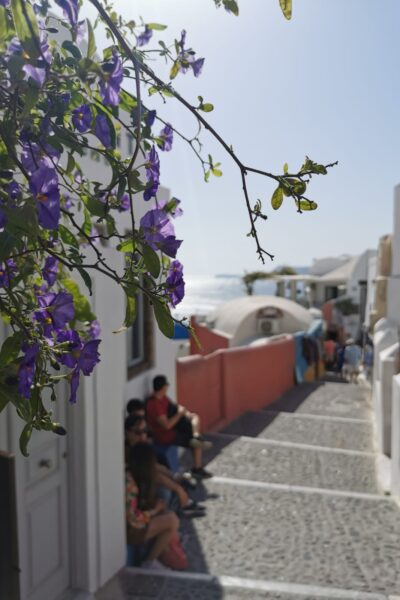 Oia-Schöne-Gassen (2)