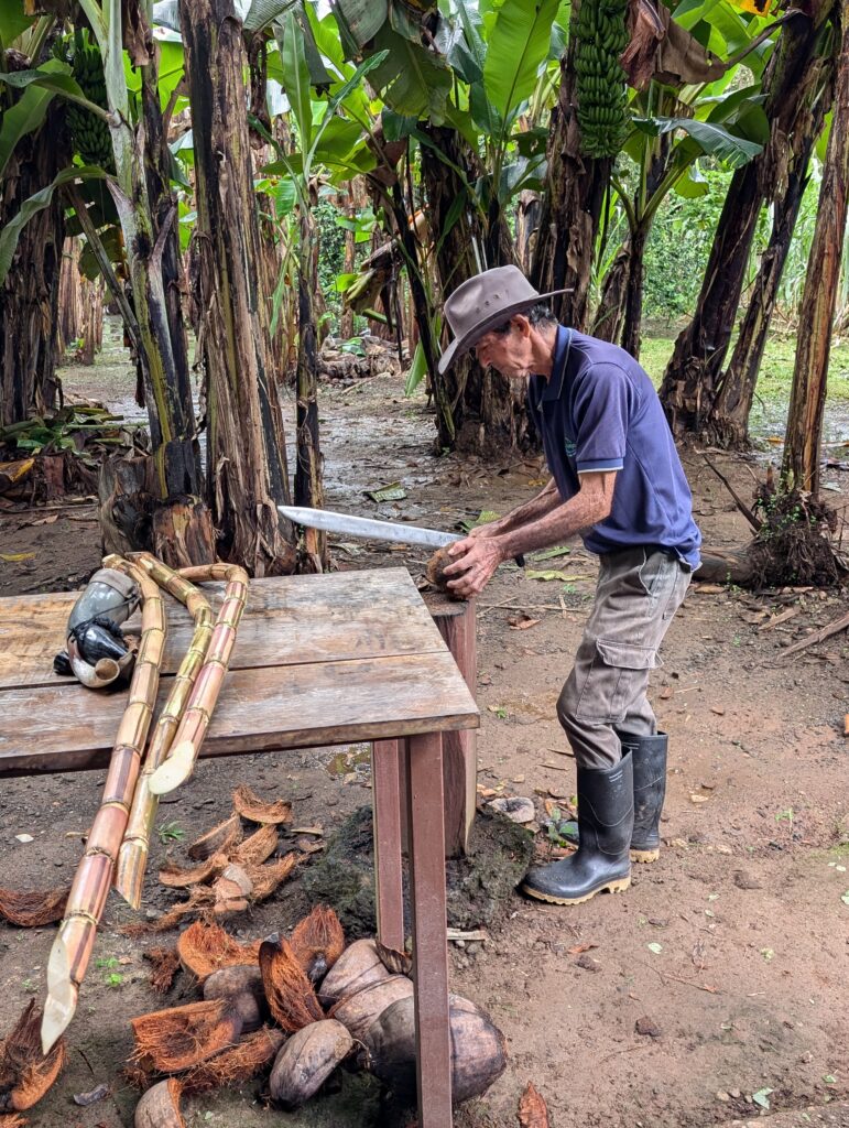 Kakao- und Kaffeetour durch traditionelle Plantagen in Costa Rica