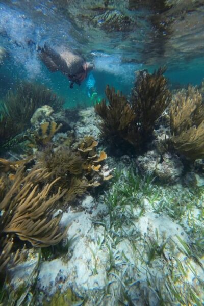 Puerto_Morelos_Schnorcheln-2