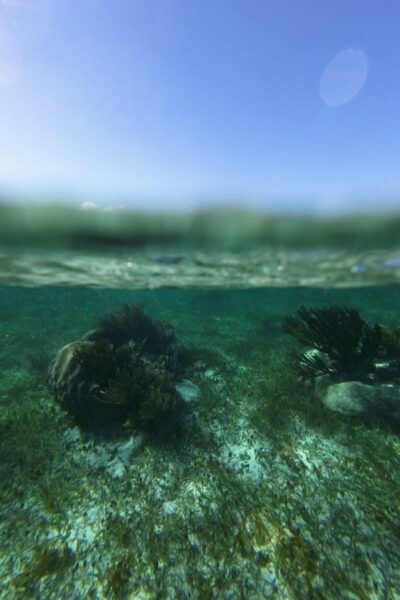 Puerto_Morelos_Schnorcheln-3