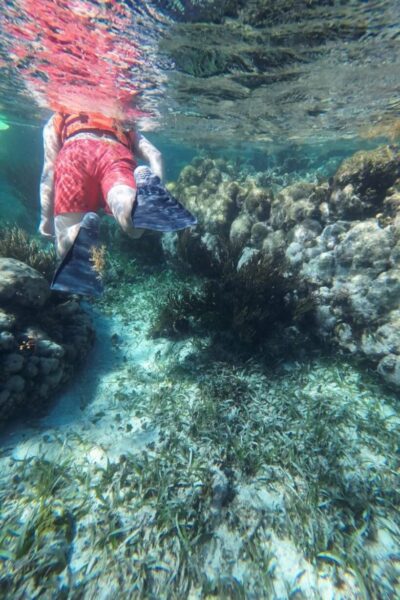 Puerto_Morelos_Schnorcheln-5