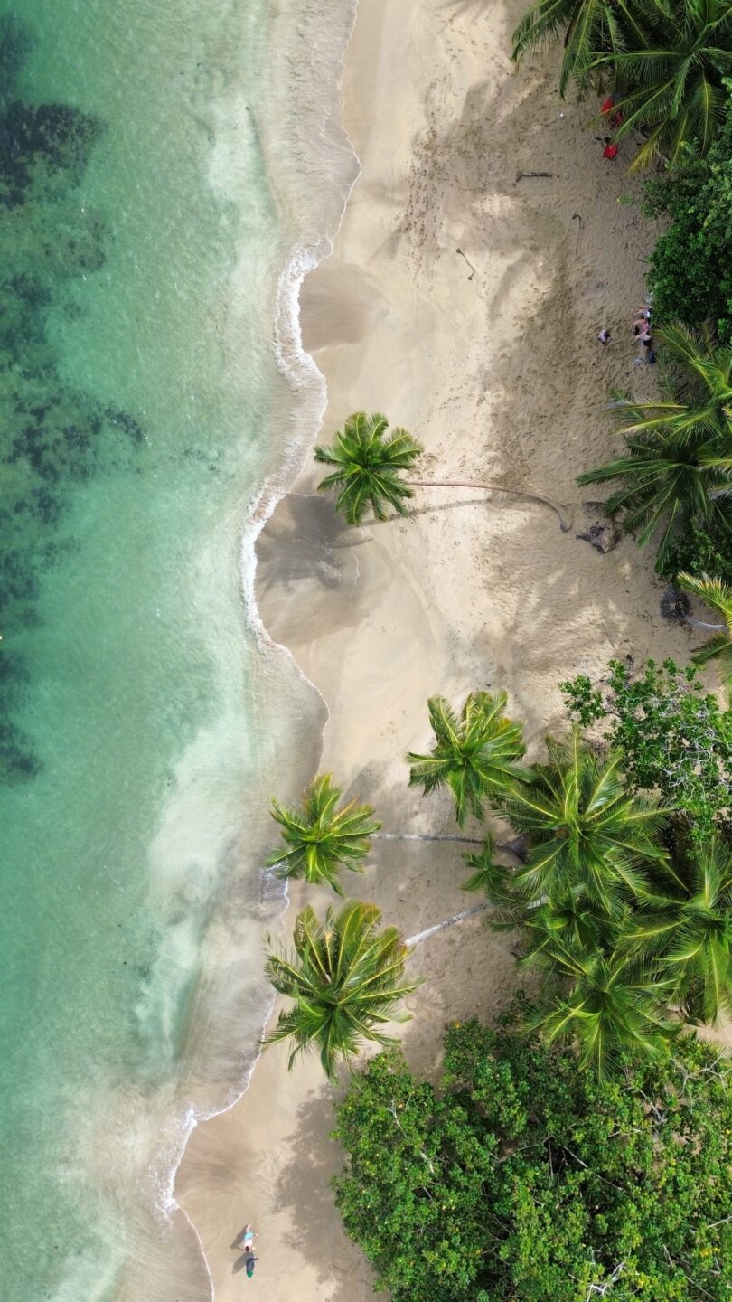 Palmenstrand in Puerto Viejo de Talamanca an der Karibikküste Costa Ricas