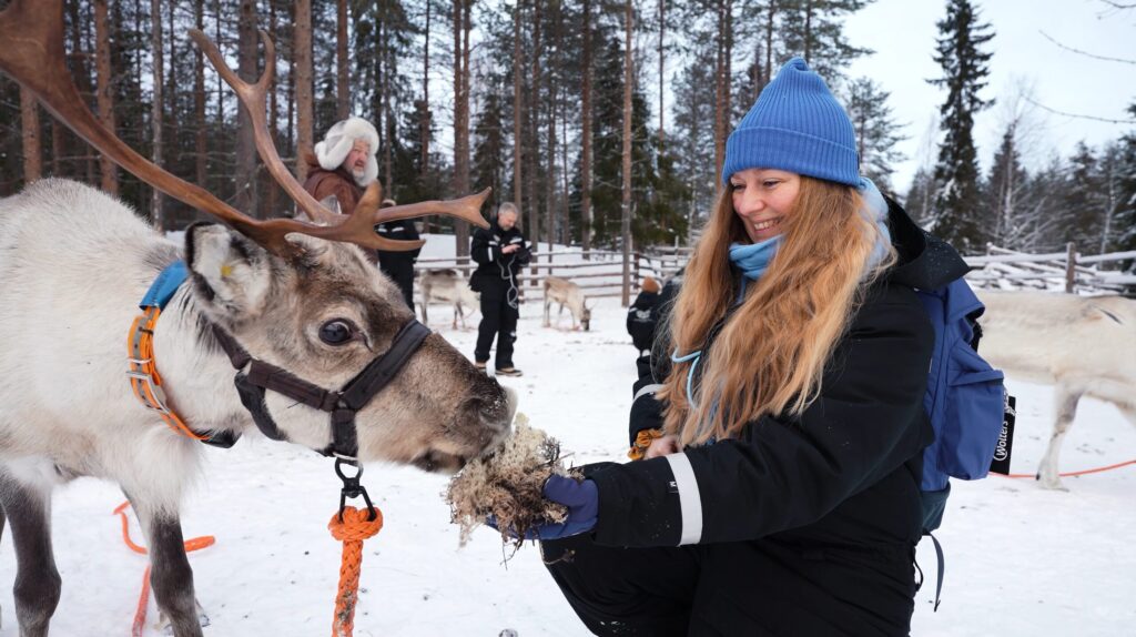 Traditionelle Rentiersafari durch die winterliche Landschaft Lapplands