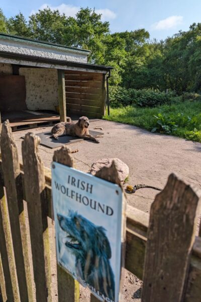 Ring_of_Kerry_4