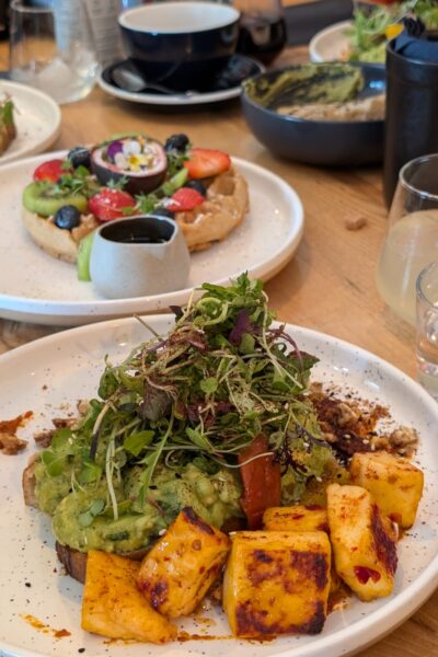 The-Yard-Jersey-Abendessen