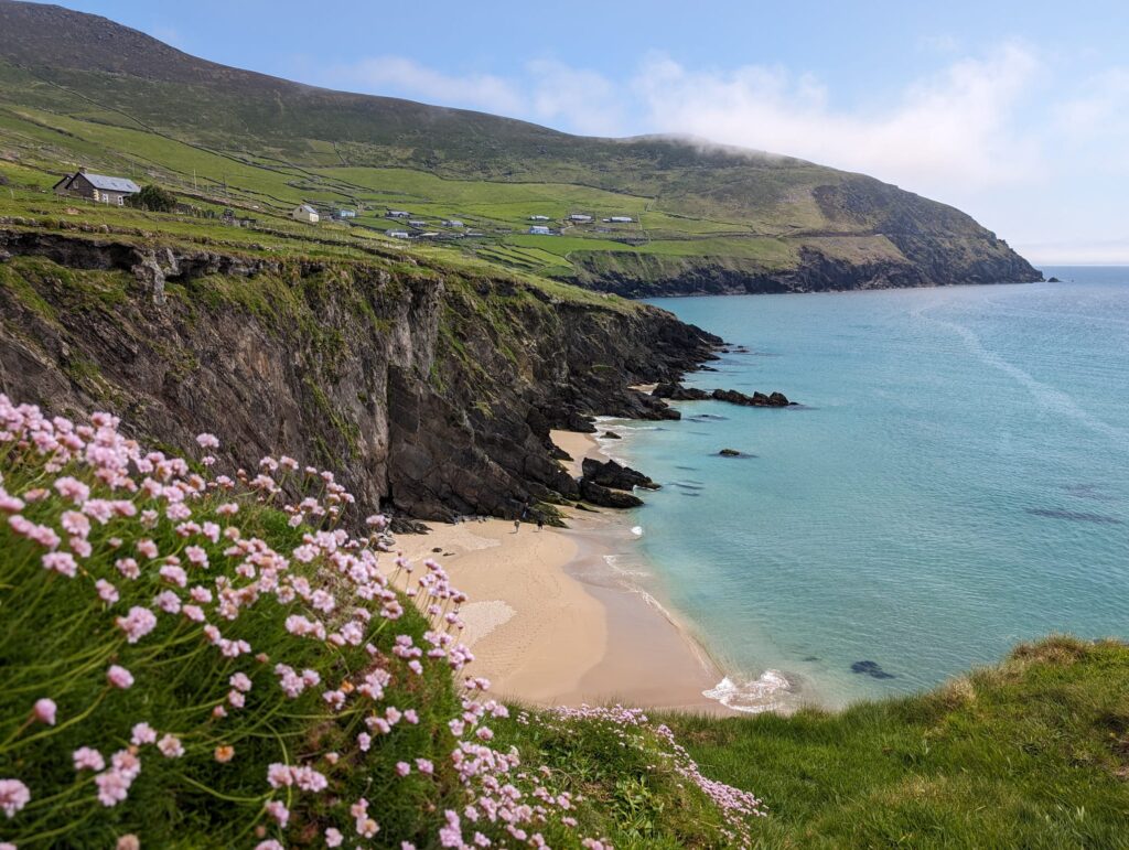 Küstenstraße auf der Dingle Halbinsel mit grünen Hügeln, Atlantikblick und typischer irischer Landschaft