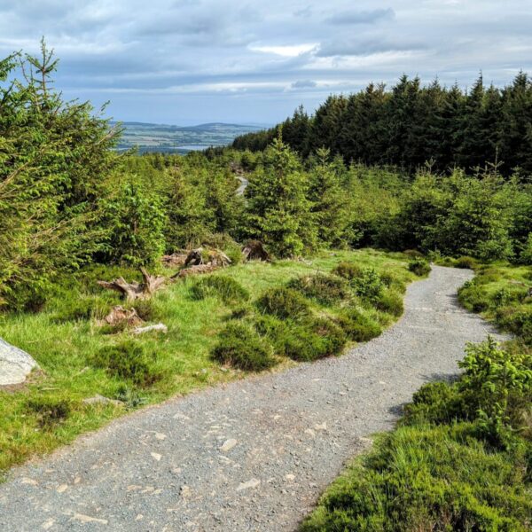 Wicklow-Mountains-2