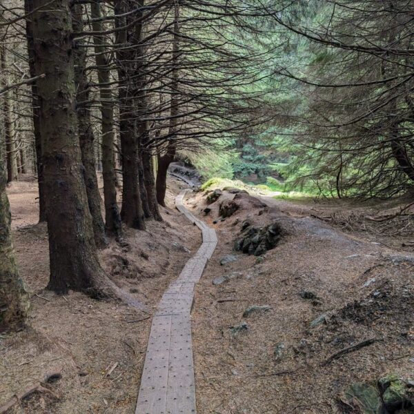 Wicklow-Mountains-4