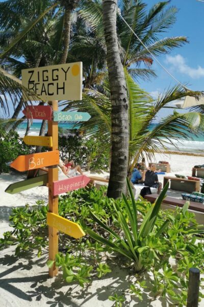 Ziggy-Beach_11