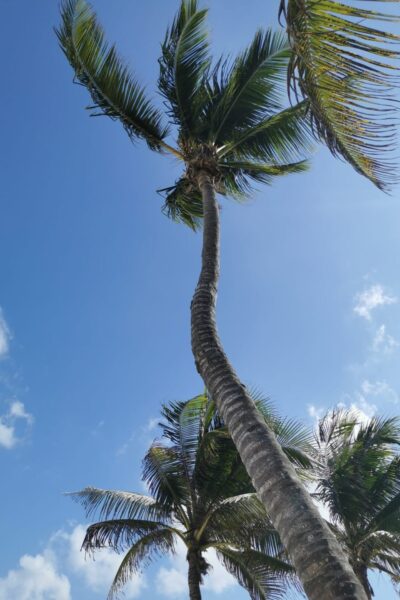 Ziggy-Beach_5