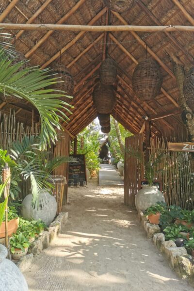Ziggy-Beach_6