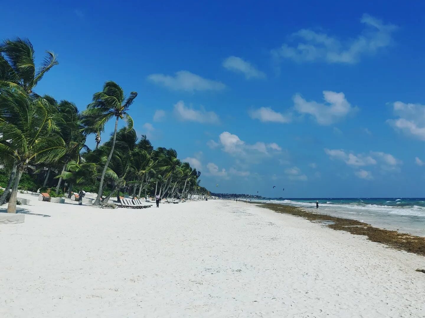 Der tropische Tulum Beach mit Palmen und türkisfarbenem Meer.