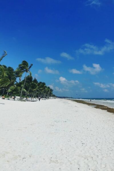 Ziggy-Beach_7
