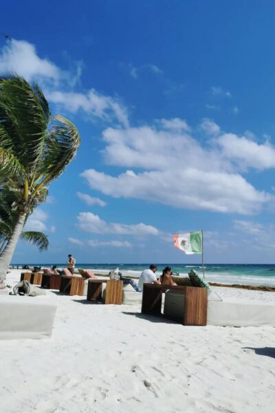 Ziggy-Beach_9