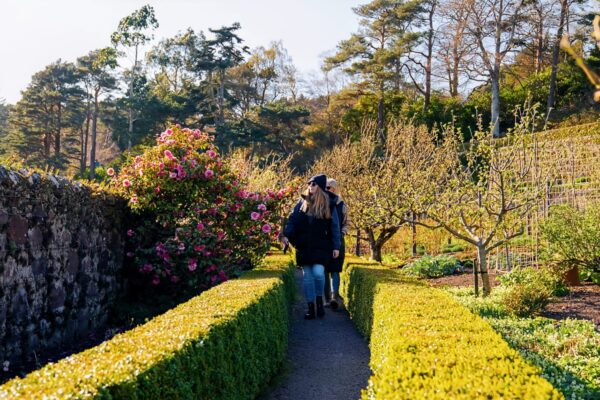 2Inverewe Garden