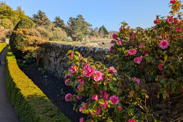 Inverewe Garden