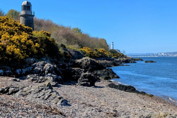 The Fife